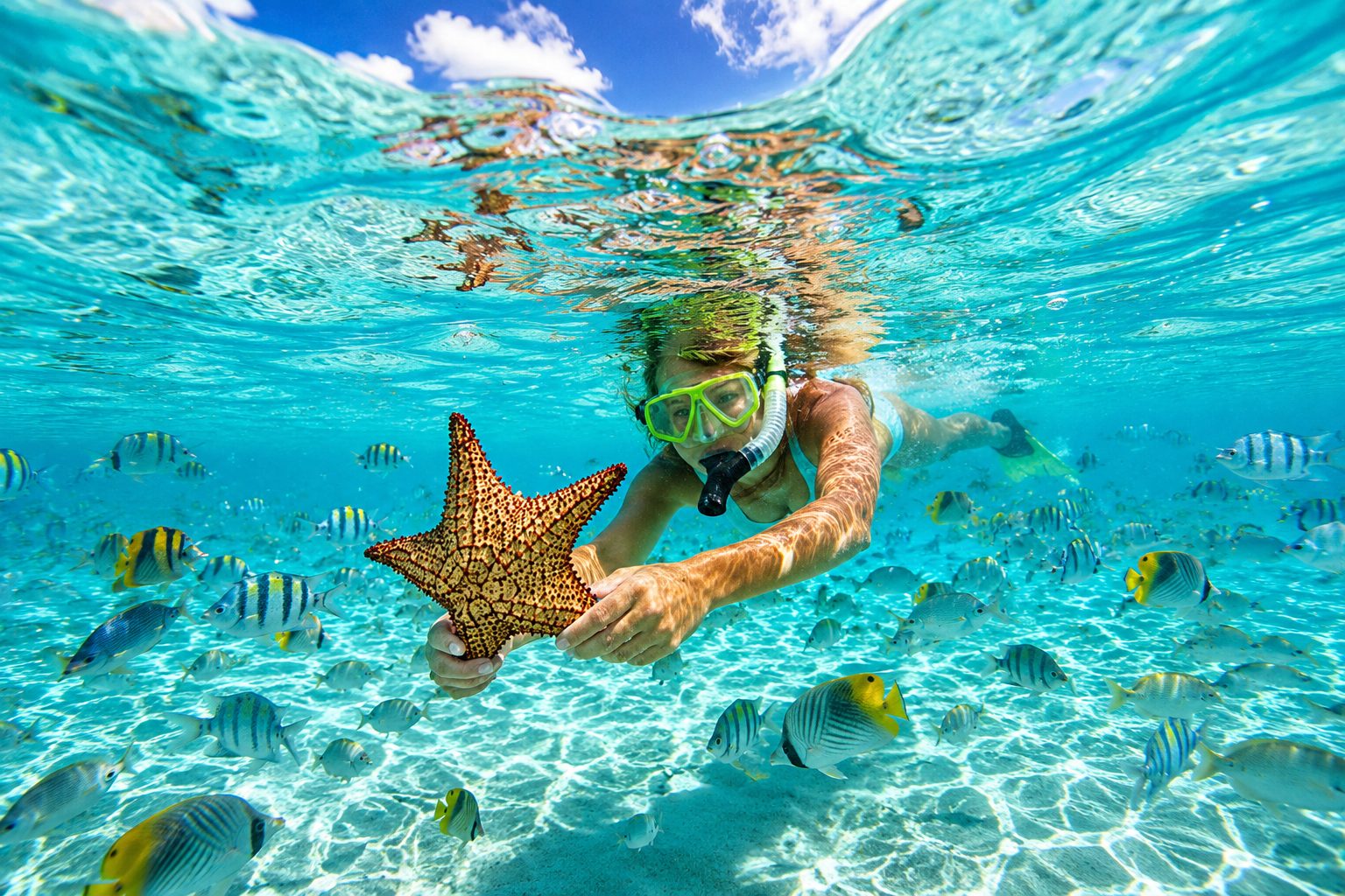 Snorkeling Rosario Islands